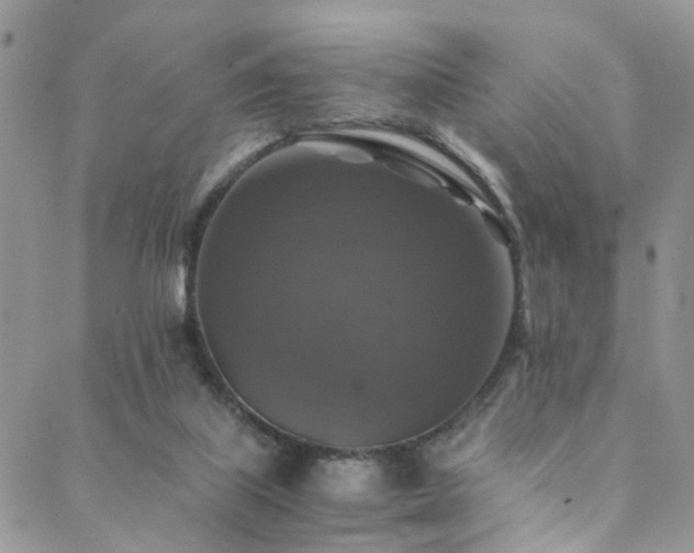 X0000089690067200706211301