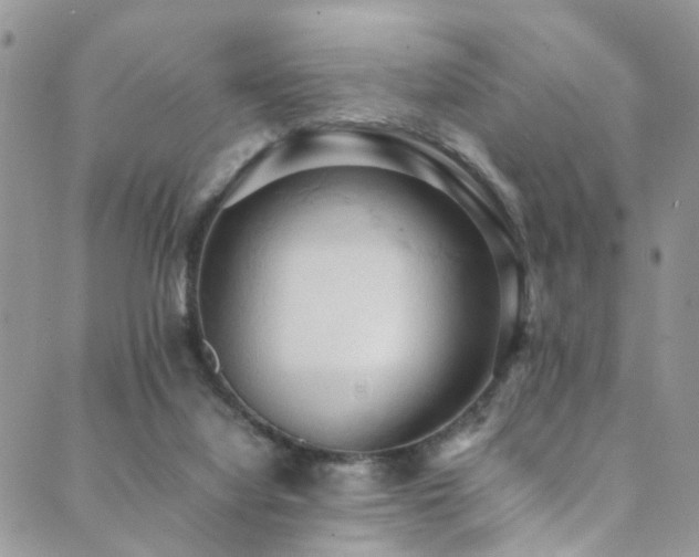 X0000089690068200706211301