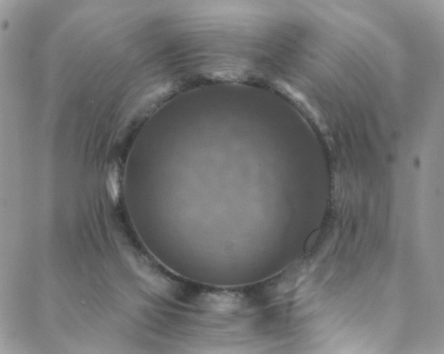 X0000089690069200706211301