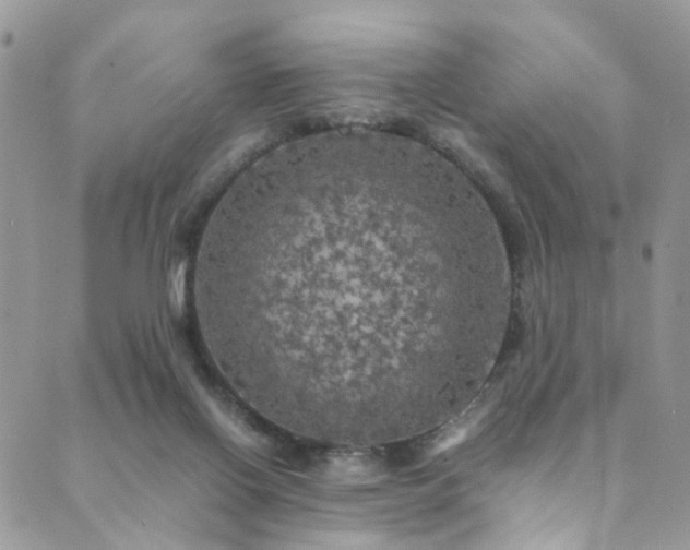 X0000089690070200706211301