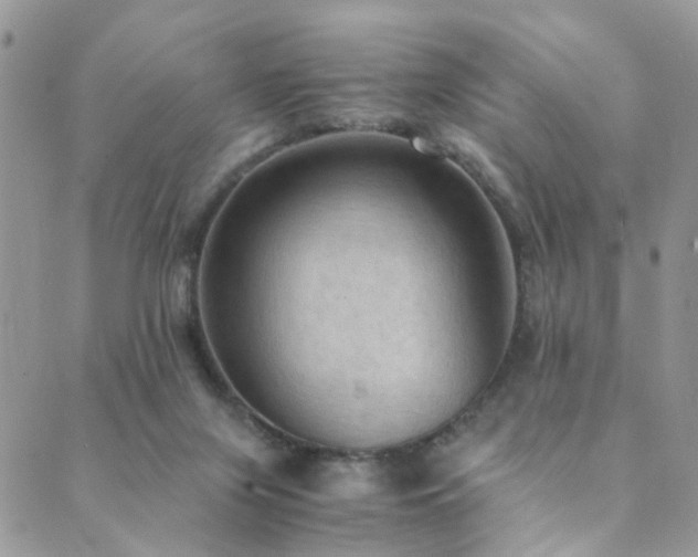 X0000089690071200706211301