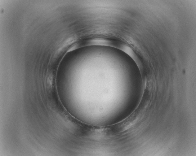 X0000089690072200706211301