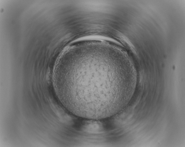 X0000089690073200706211301