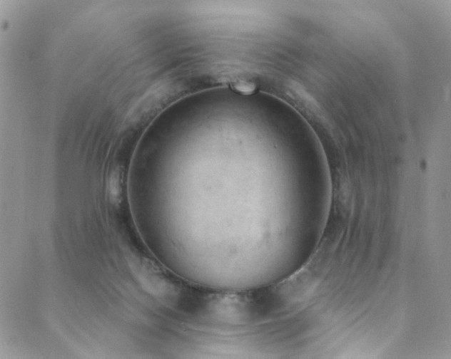 X0000089690074200706211301