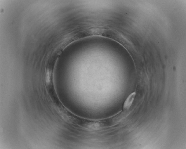 X0000089690075200706211301