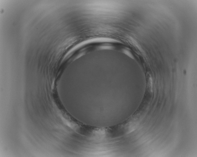 X0000089690076200706211301