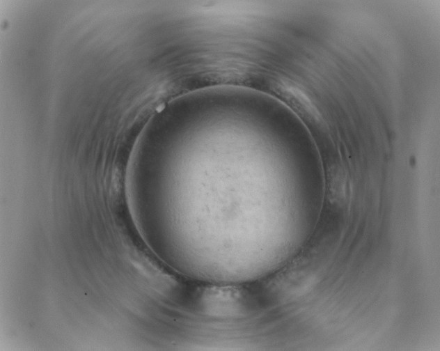 X0000089690077200706211301