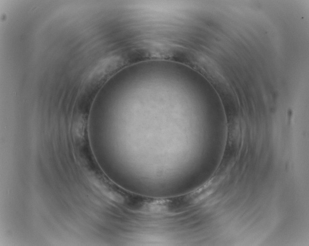 X0000089690078200706211301