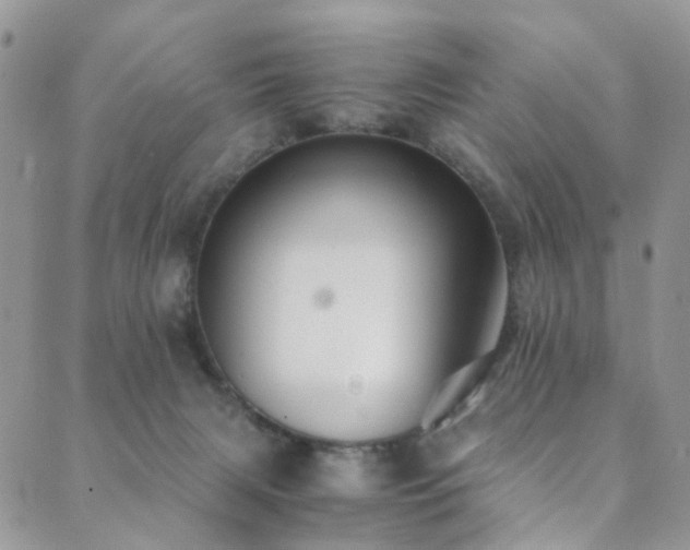 X0000089690079200706211301