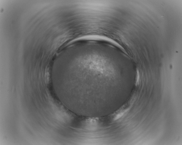 X0000089690080200706211301