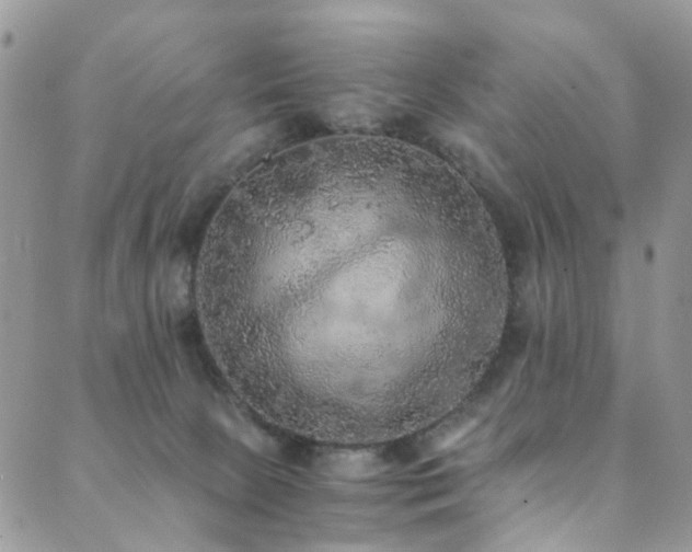 X0000089690081200706211301