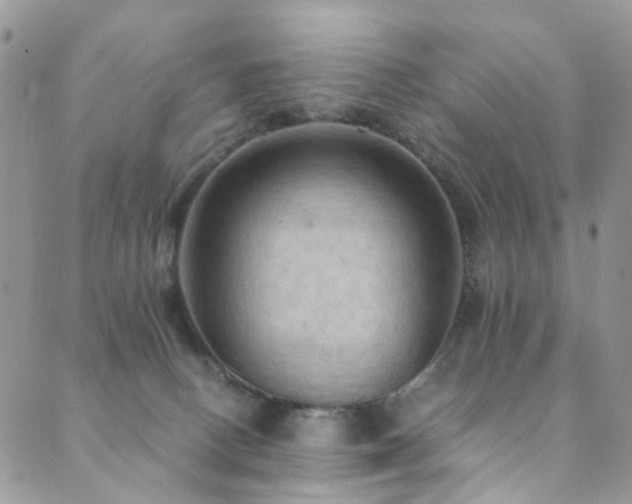 X0000089690082200706211301