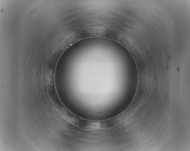 X0000089690083200706211301