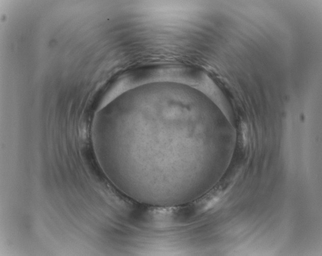 X0000089690084200706211301