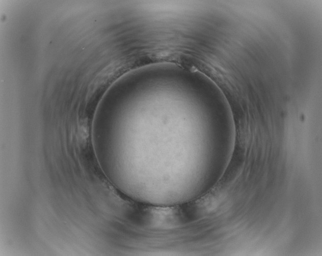 X0000089690085200706211301