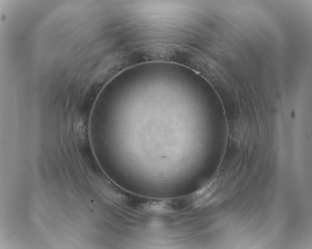 X0000089690086200706211301