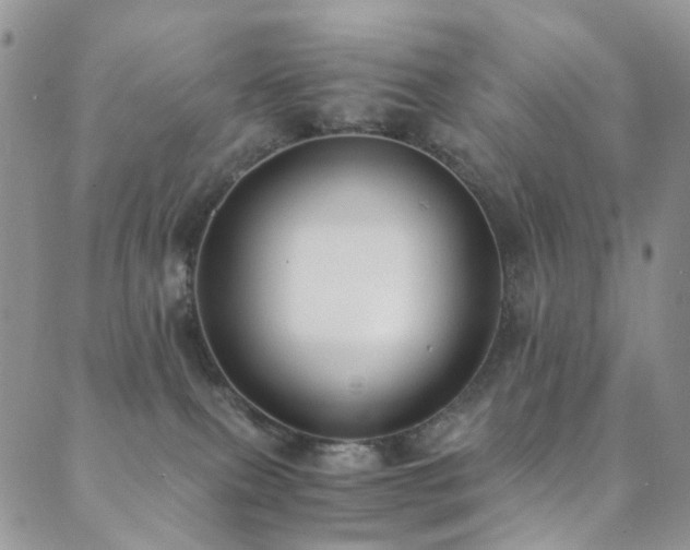 X0000089690087200706211301