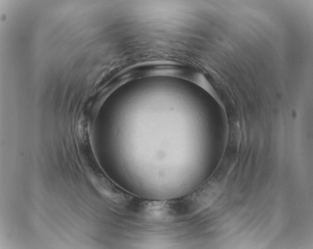 X0000089690088200706211301