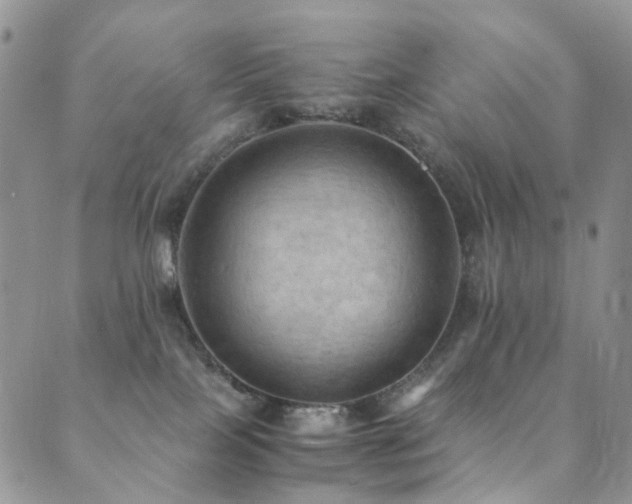 X0000089690089200706211301