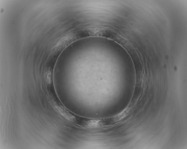 X0000089690090200706211301