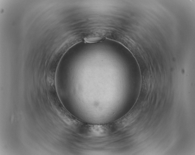 X0000089690091200706211301