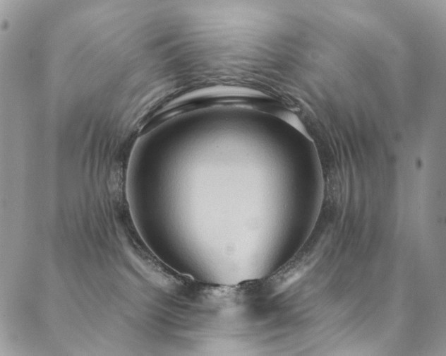 X0000089690092200706211301