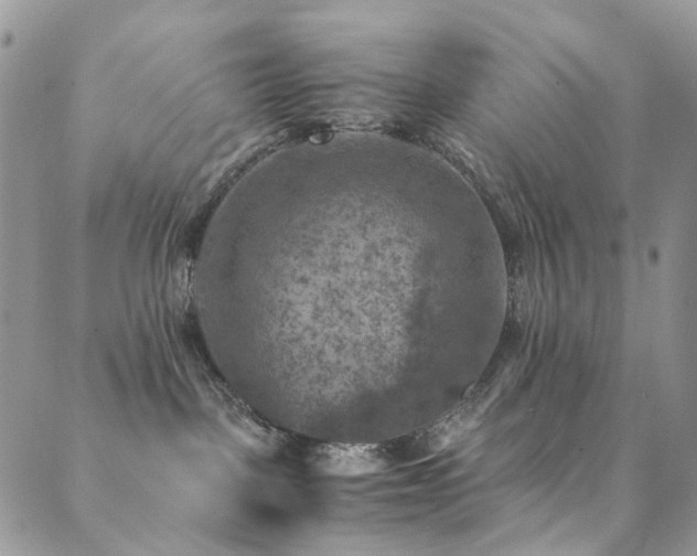 X0000089690093200706211301