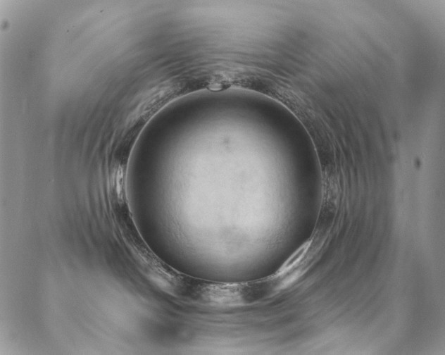 X0000089690094200706211301