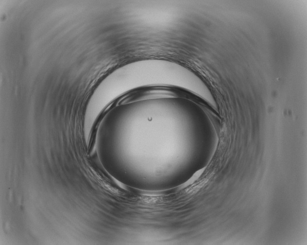 X0000089690096200706211301