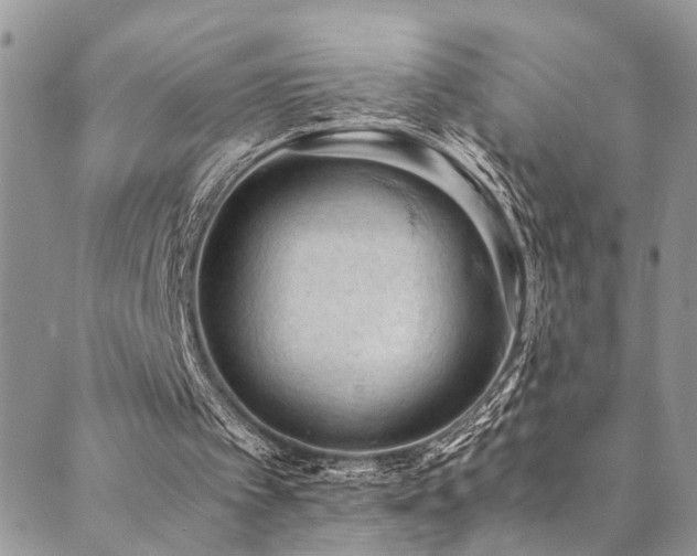 X0000089690097200706211300