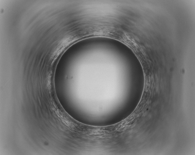 X0000089690098200706211300