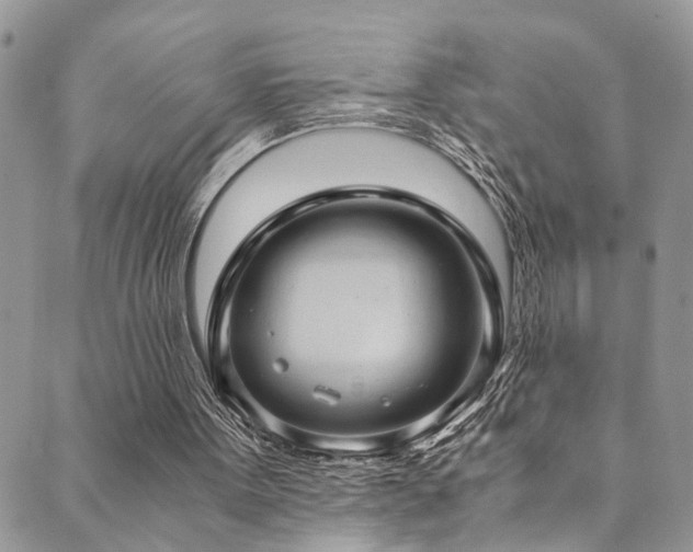 X0000089690099200706211300