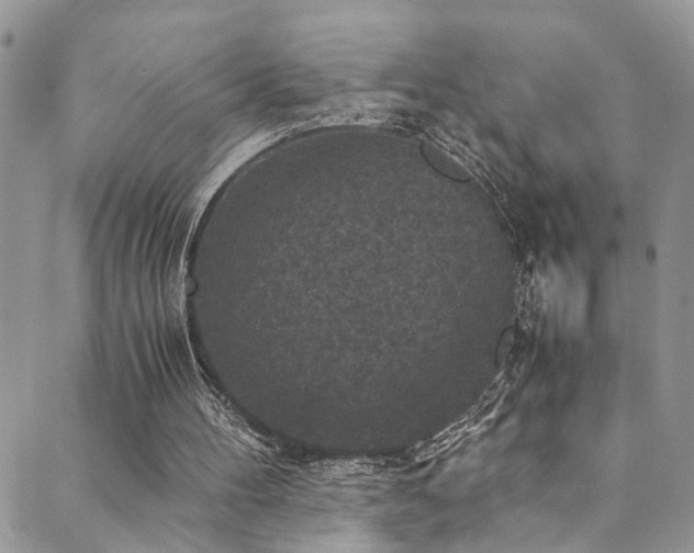 X0000089690100200706211300