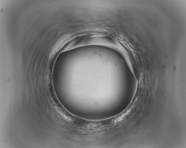 X0000089690101200706211300