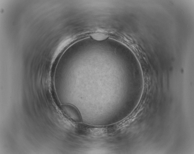 X0000089690102200706211300