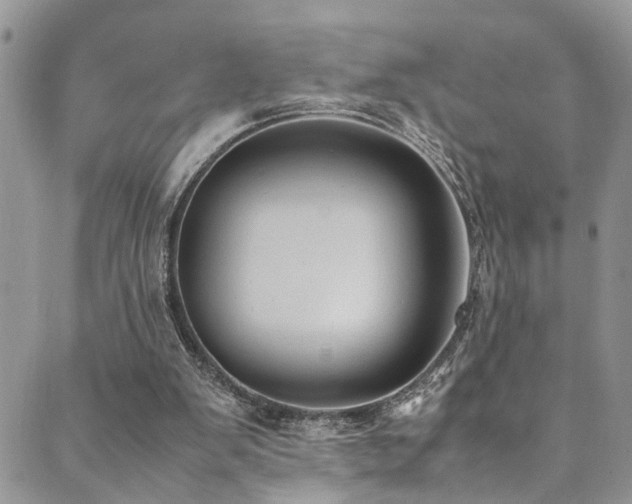 X0000089690103200706211300