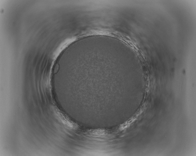 X0000089690104200706211300