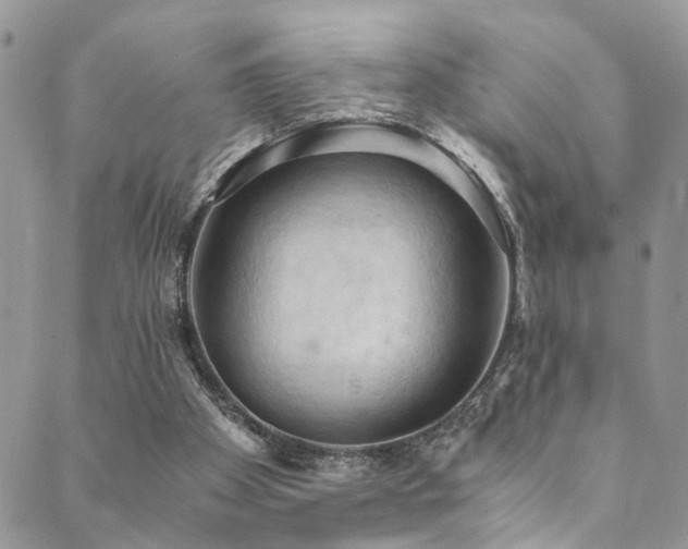 X0000089690105200706211300