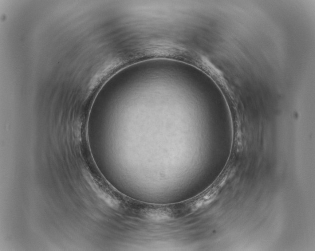 X0000089690106200706211300