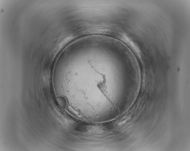 X0000089690107200706211300