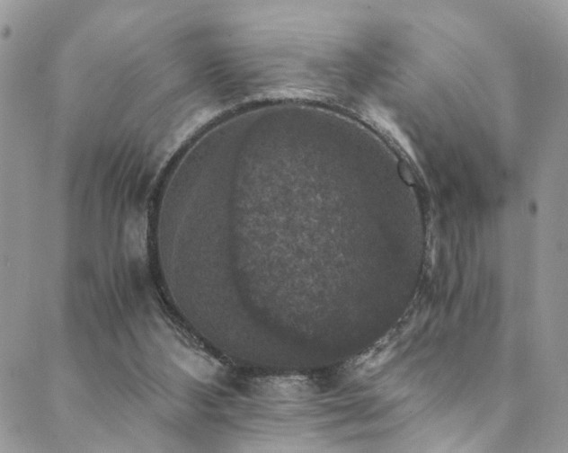 X0000089690108200706211300