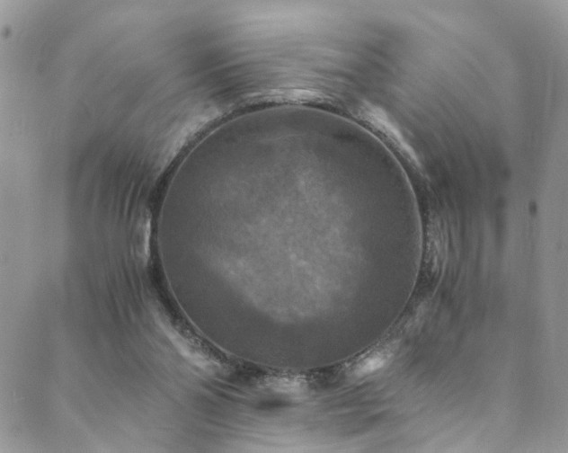 X0000089690110200706211300