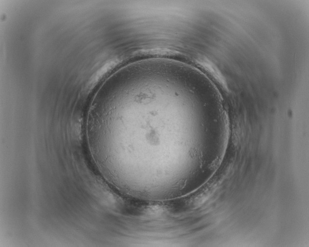 X0000089690111200706211300