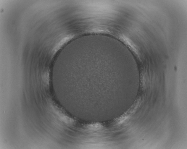 X0000089690112200706211300