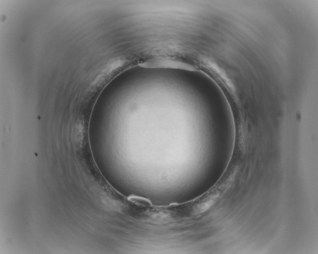 X0000089690113200706211300