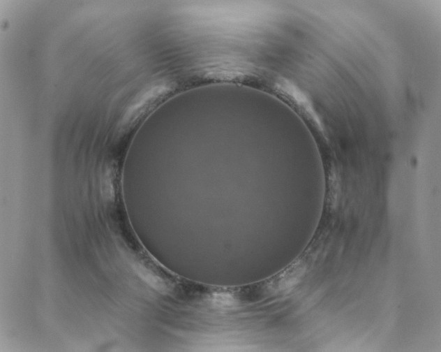 X0000089690114200706211300