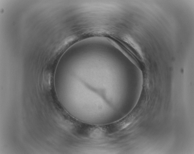 X0000089690115200706211300