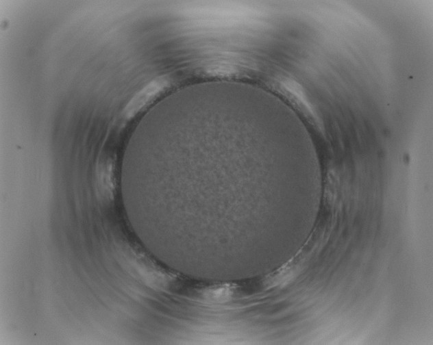 X0000089690116200706211300