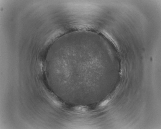 X0000089690117200706211300