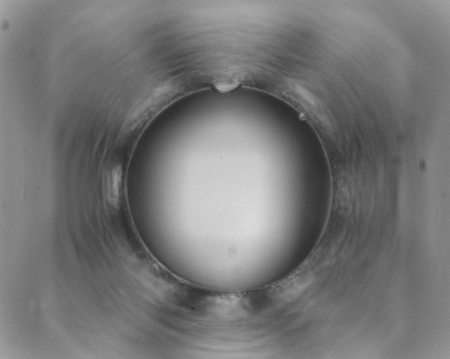 X0000089690118200706211300